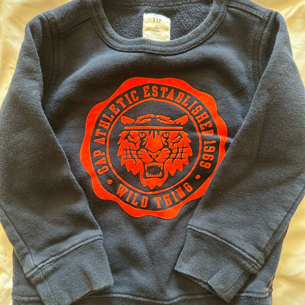 Gap boys pullover